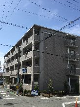 スライド画像